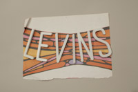 Jason Levins